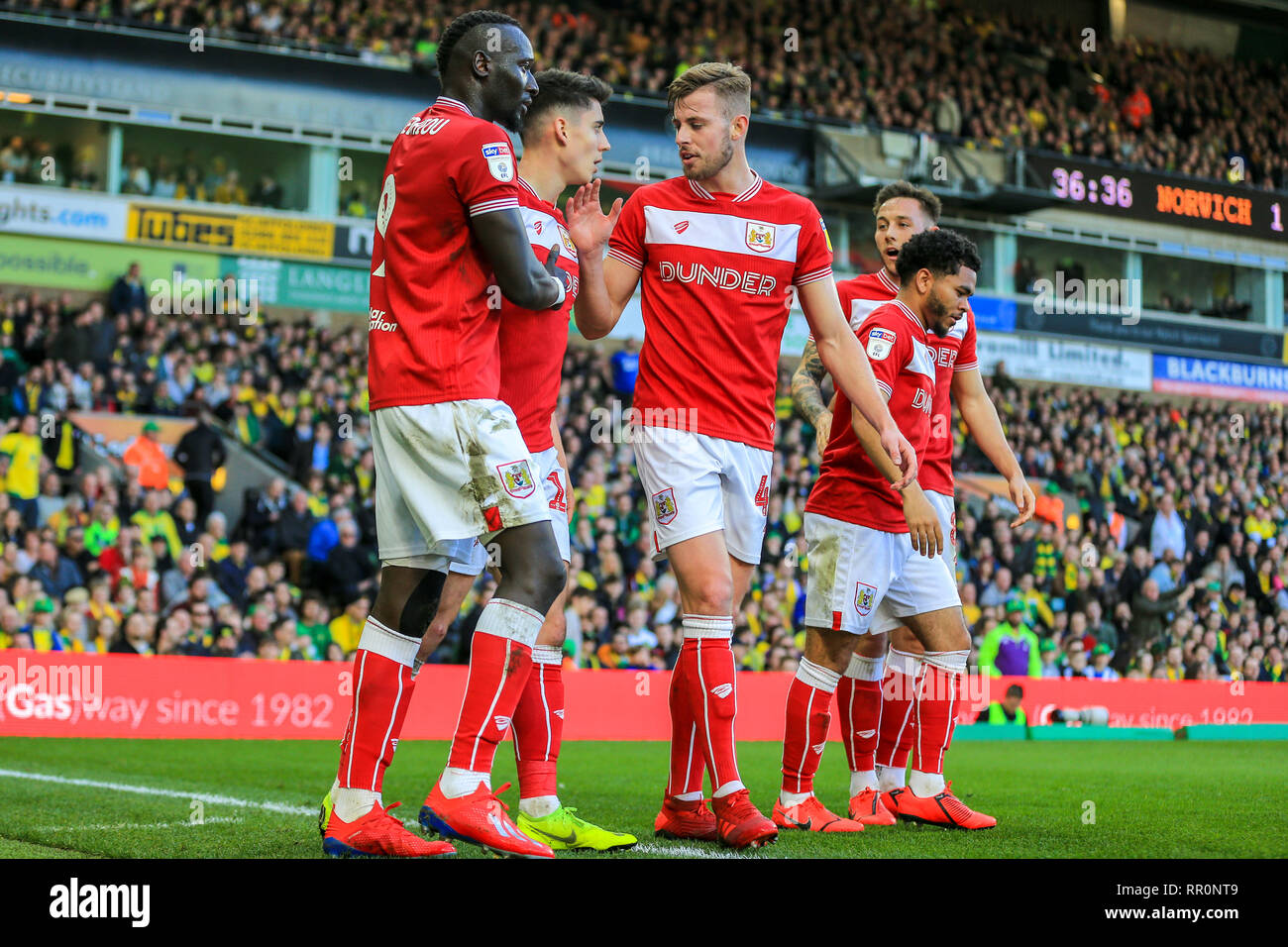 23rd February 2019 Carrow Road Norfolk England Sky Bet Championship Norwich City Vs Bristol City Callum