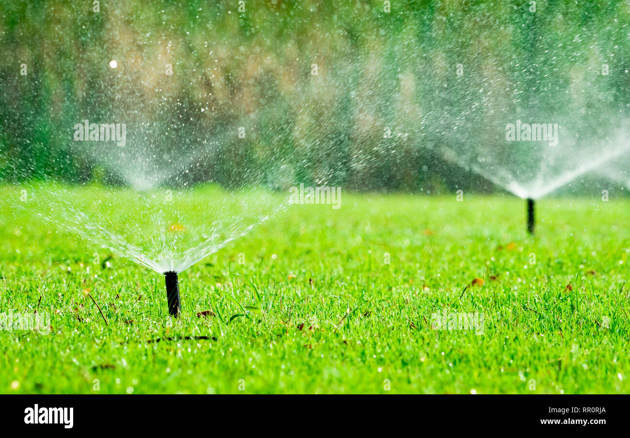 Automatic lawn sprinkler watering green grass. Sprinkler with automatic system. Garden irrigation system watering lawn. Water saving or water Stock Photo
