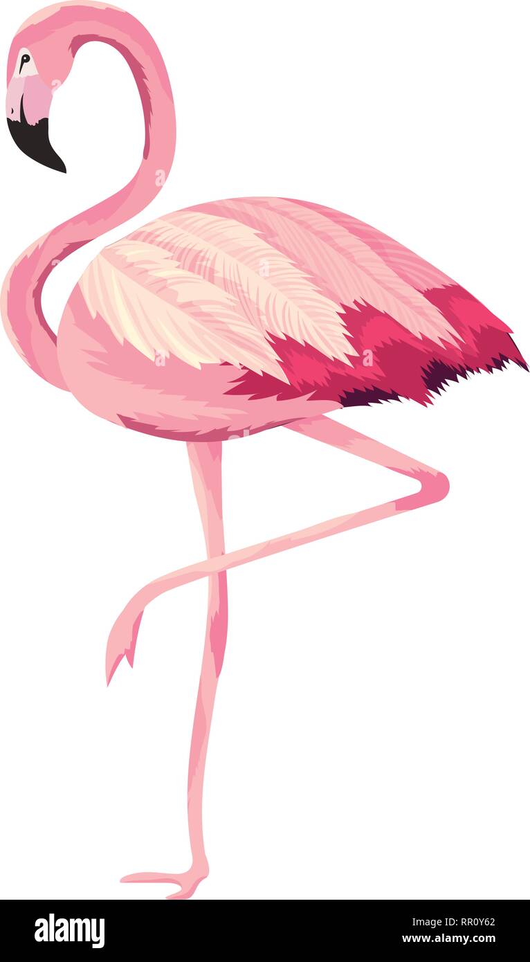 tropical flamingo cartoon Stock Vector Image & Art - Alamy