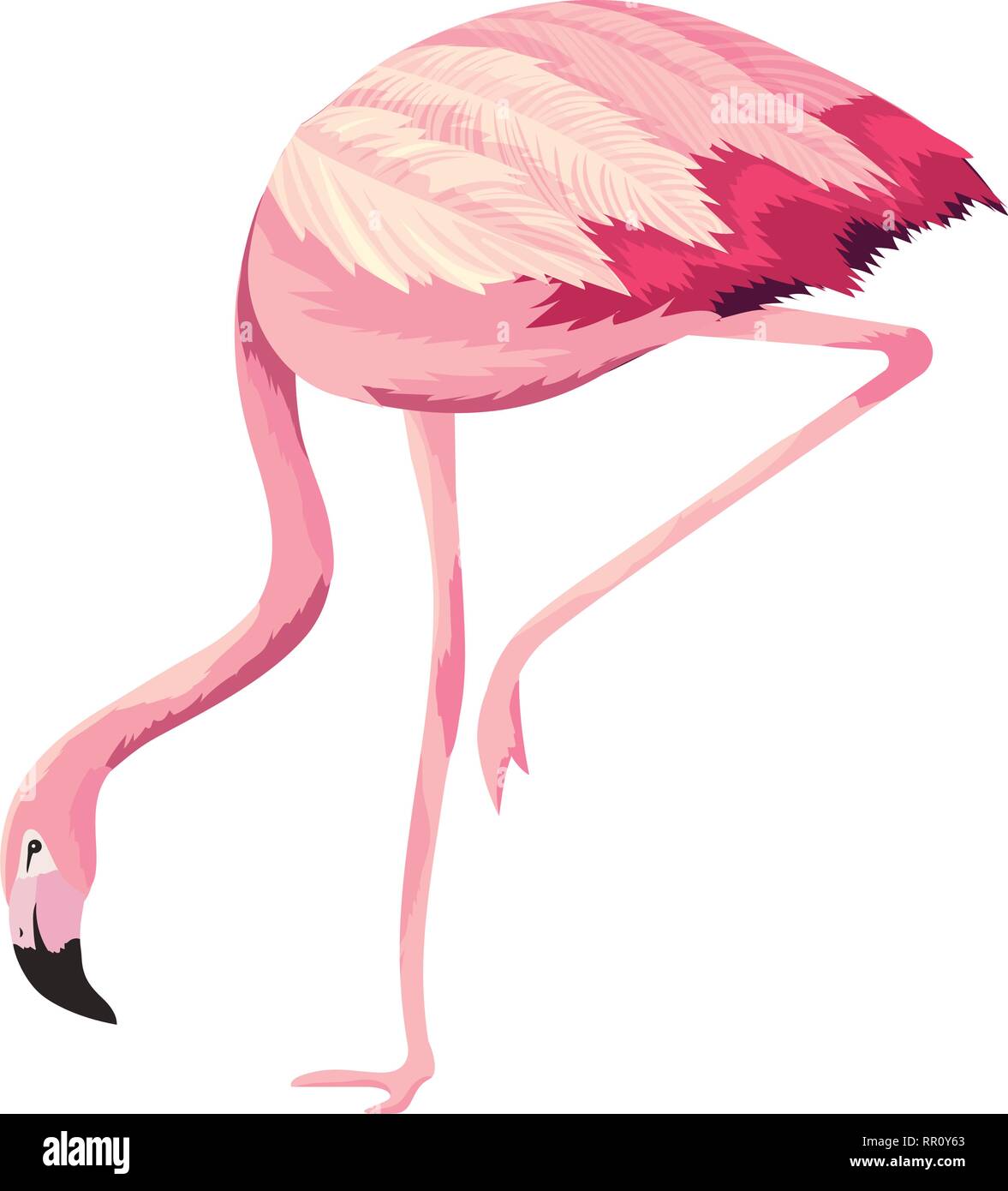 tropical flamingo cartoon Stock Vector Image & Art - Alamy
