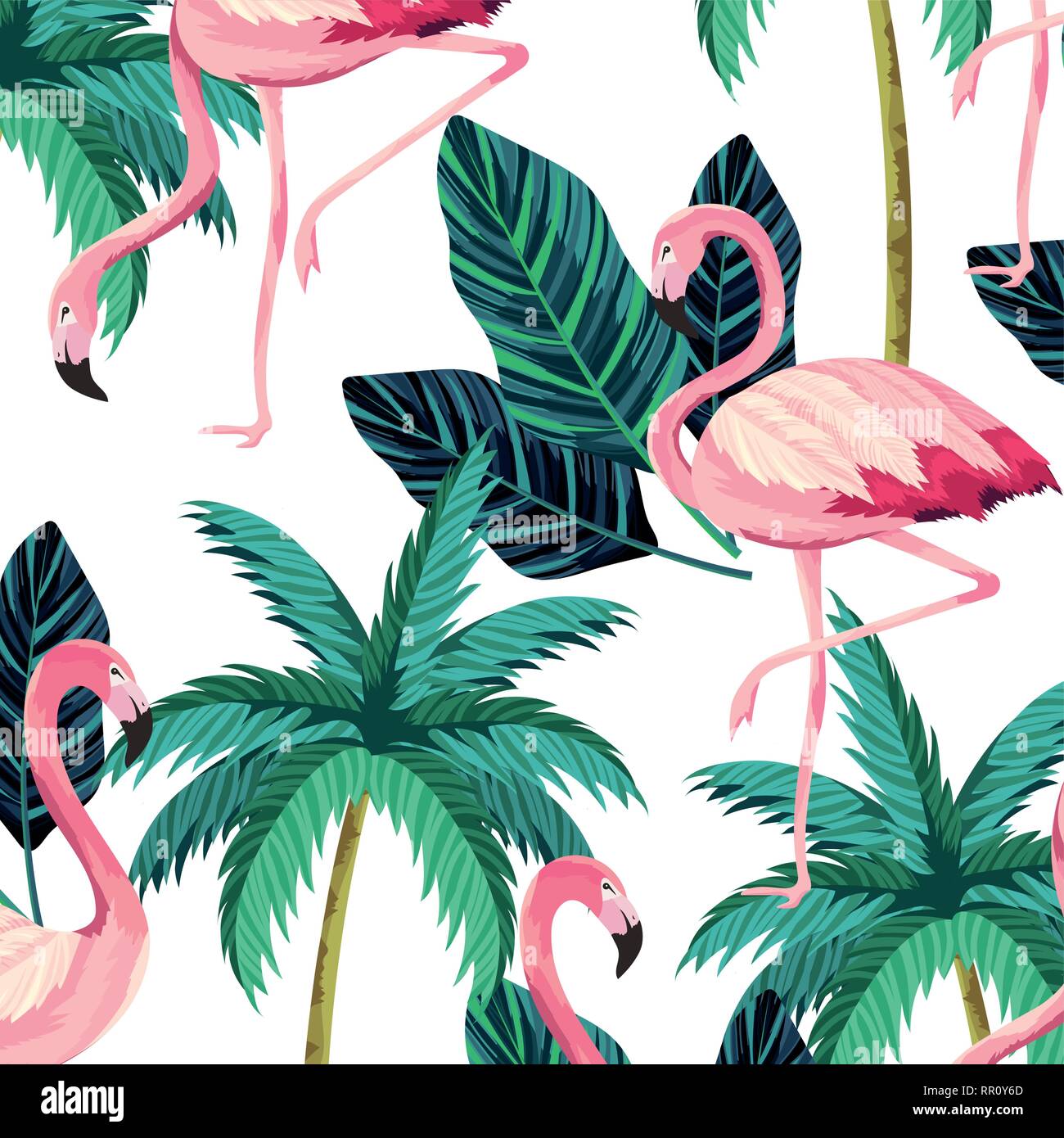 tropical flamingos cartoon Stock Vector Image & Art - Alamy