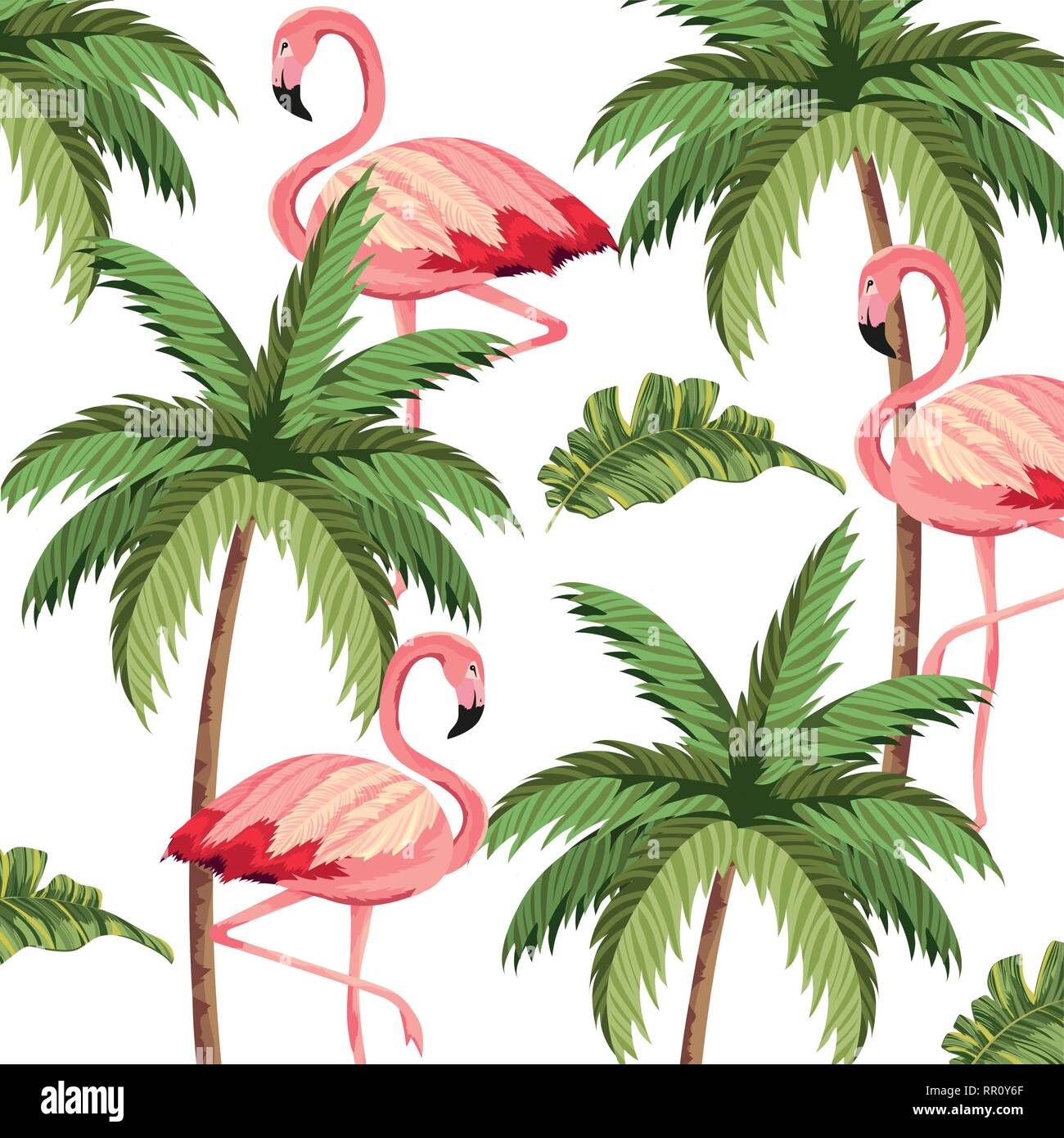 tropical flamingos cartoon Stock Vector Image & Art - Alamy