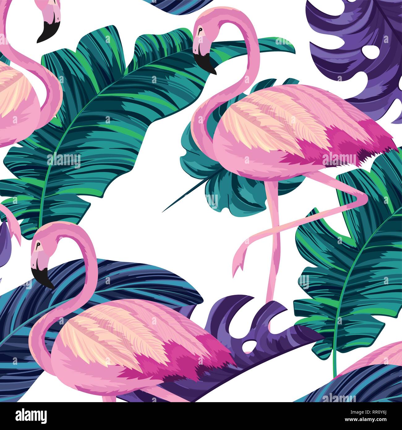 tropical flamingos cartoon Stock Vector Image & Art - Alamy