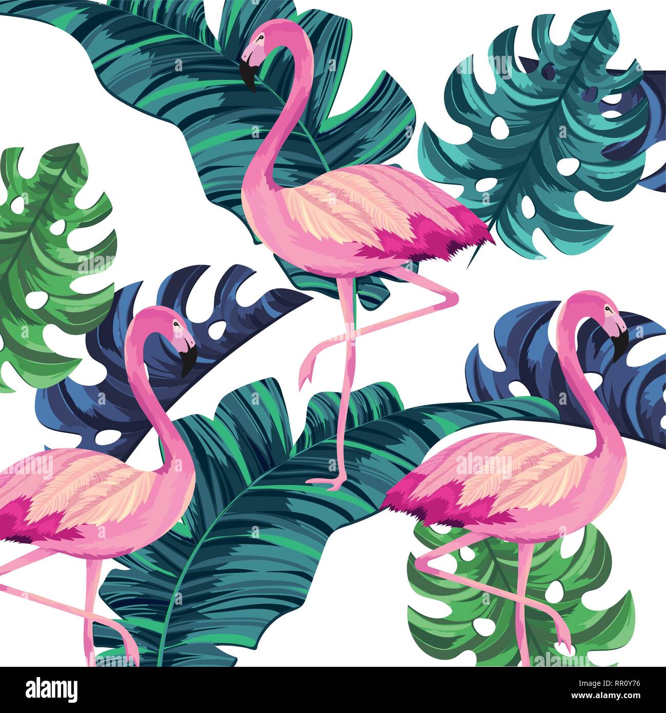 tropical flamingos cartoon Stock Vector Image & Art - Alamy