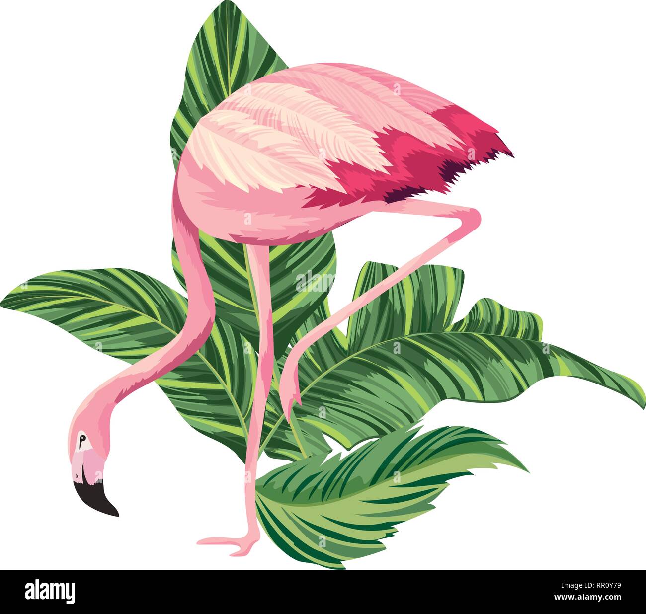tropical flamingo cartoon Stock Vector Image & Art - Alamy