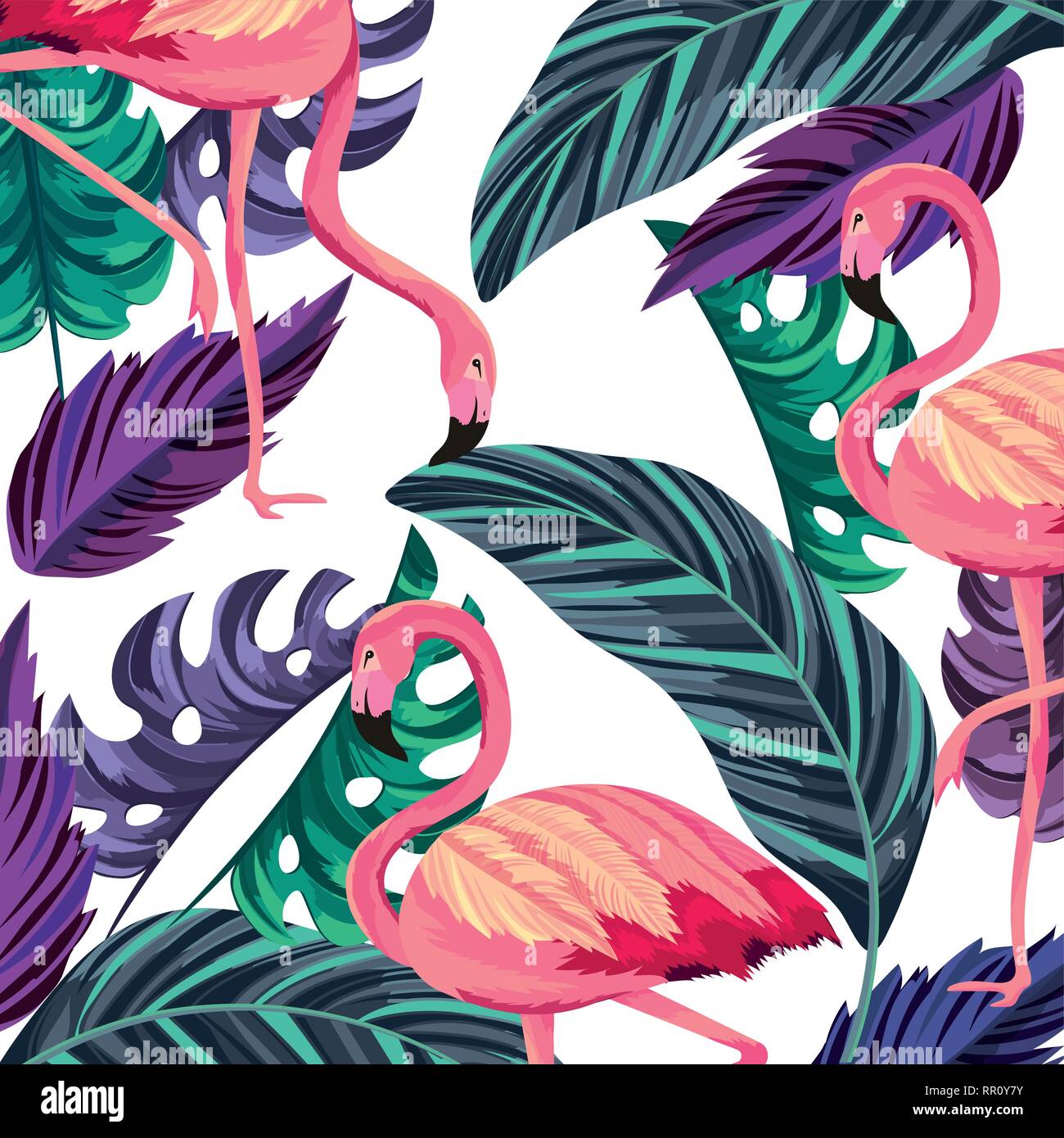 tropical flamingos cartoon Stock Vector Image & Art - Alamy