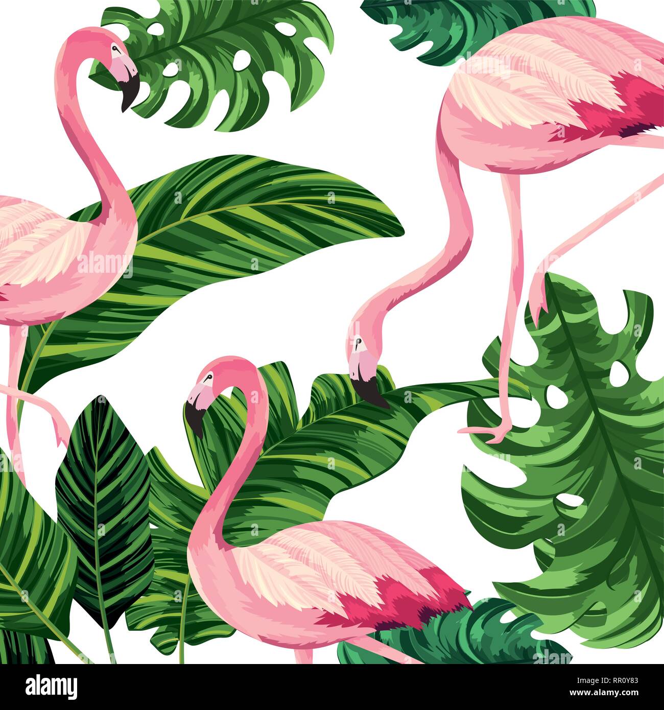 tropical flamingos cartoon Stock Vector Image & Art - Alamy