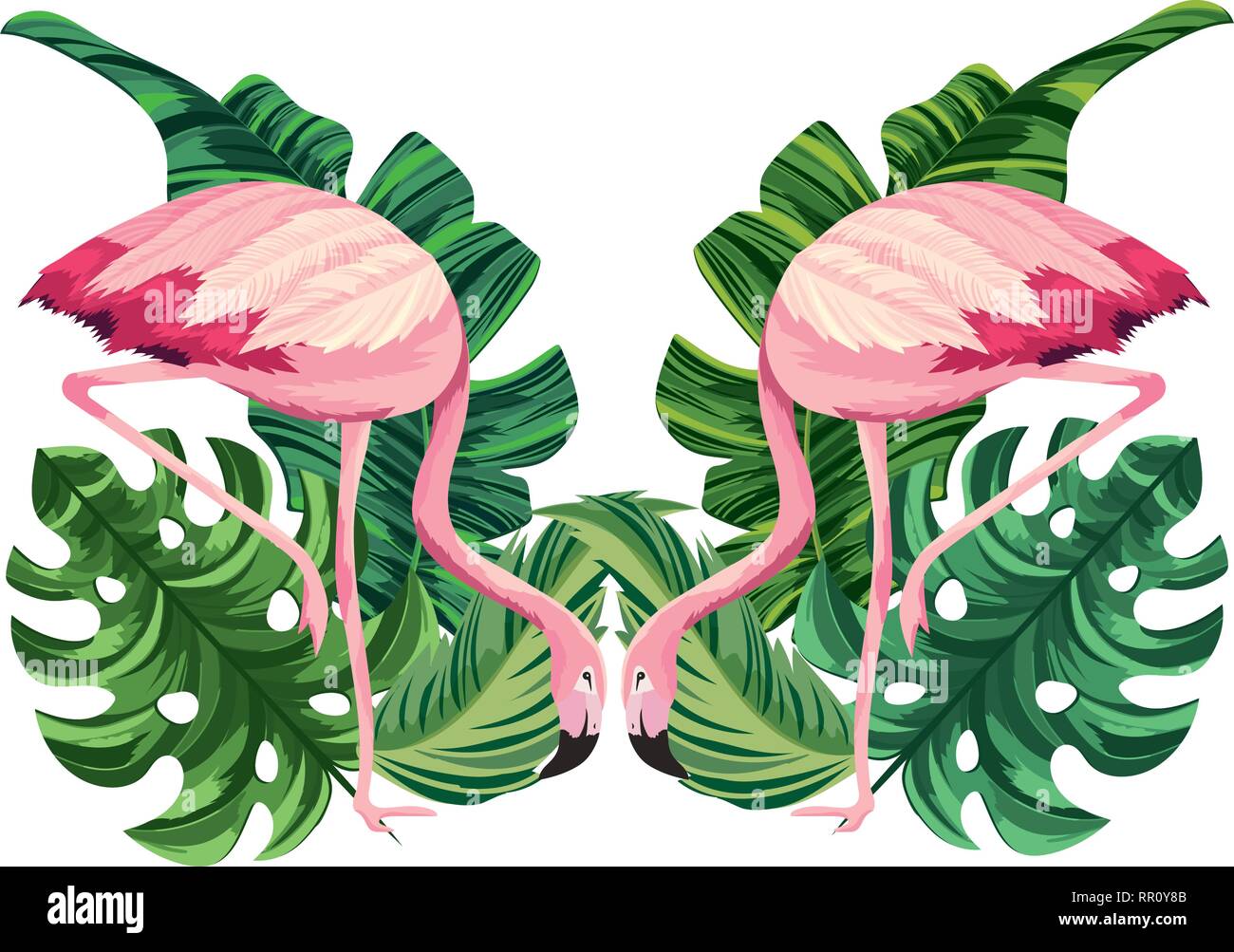 tropical flamingos cartoon Stock Vector Image & Art - Alamy