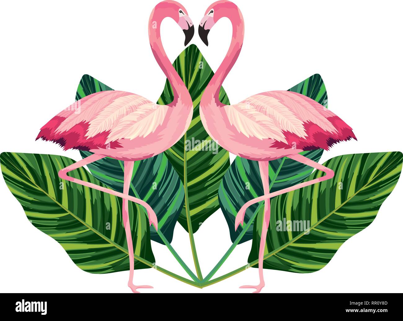 tropical flamingos cartoon Stock Vector Image & Art - Alamy