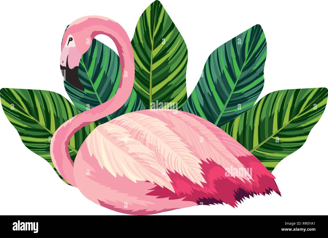 tropical flamingo cartoon Stock Vector Image & Art - Alamy