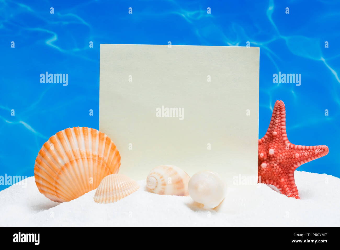 Summer background with the seashells and a blank note Stock Photo - Alamy