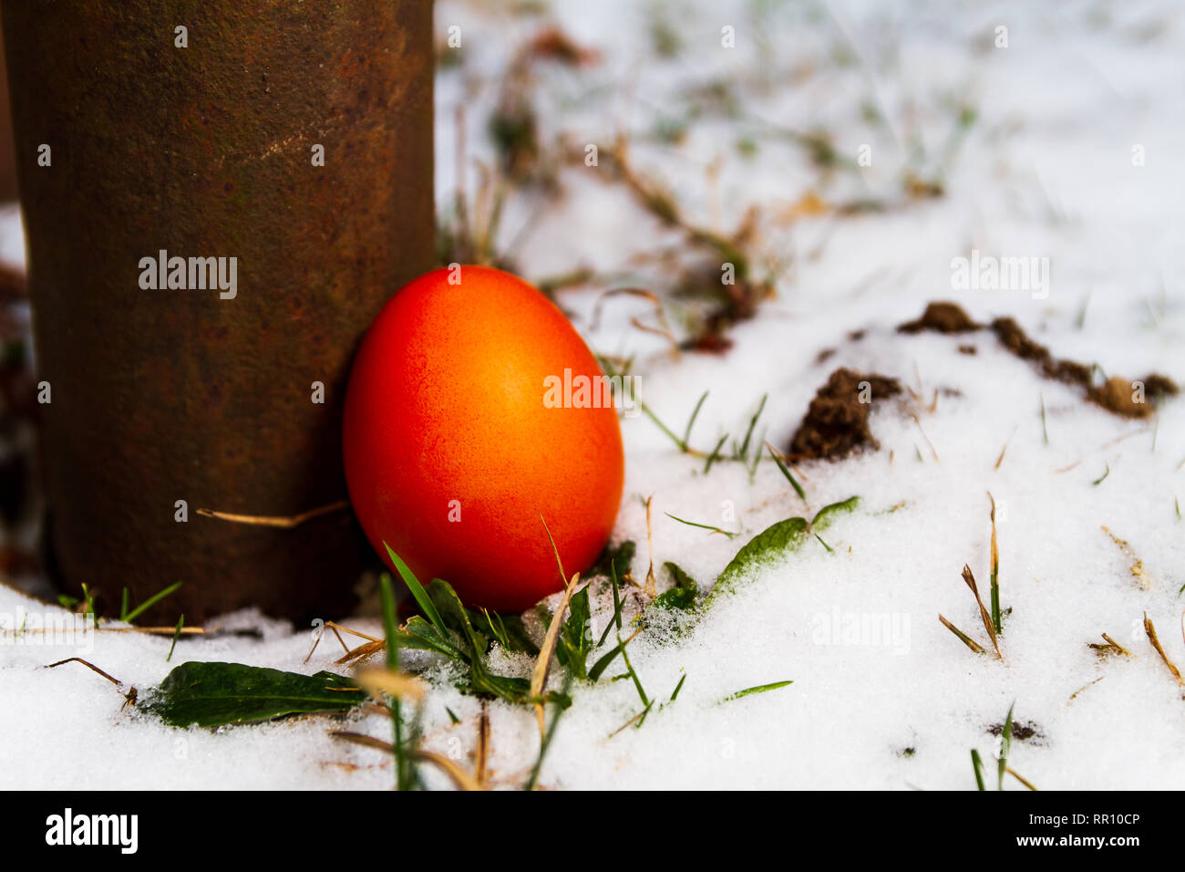 Red easter egg hidden next to a pipe Stock Photo