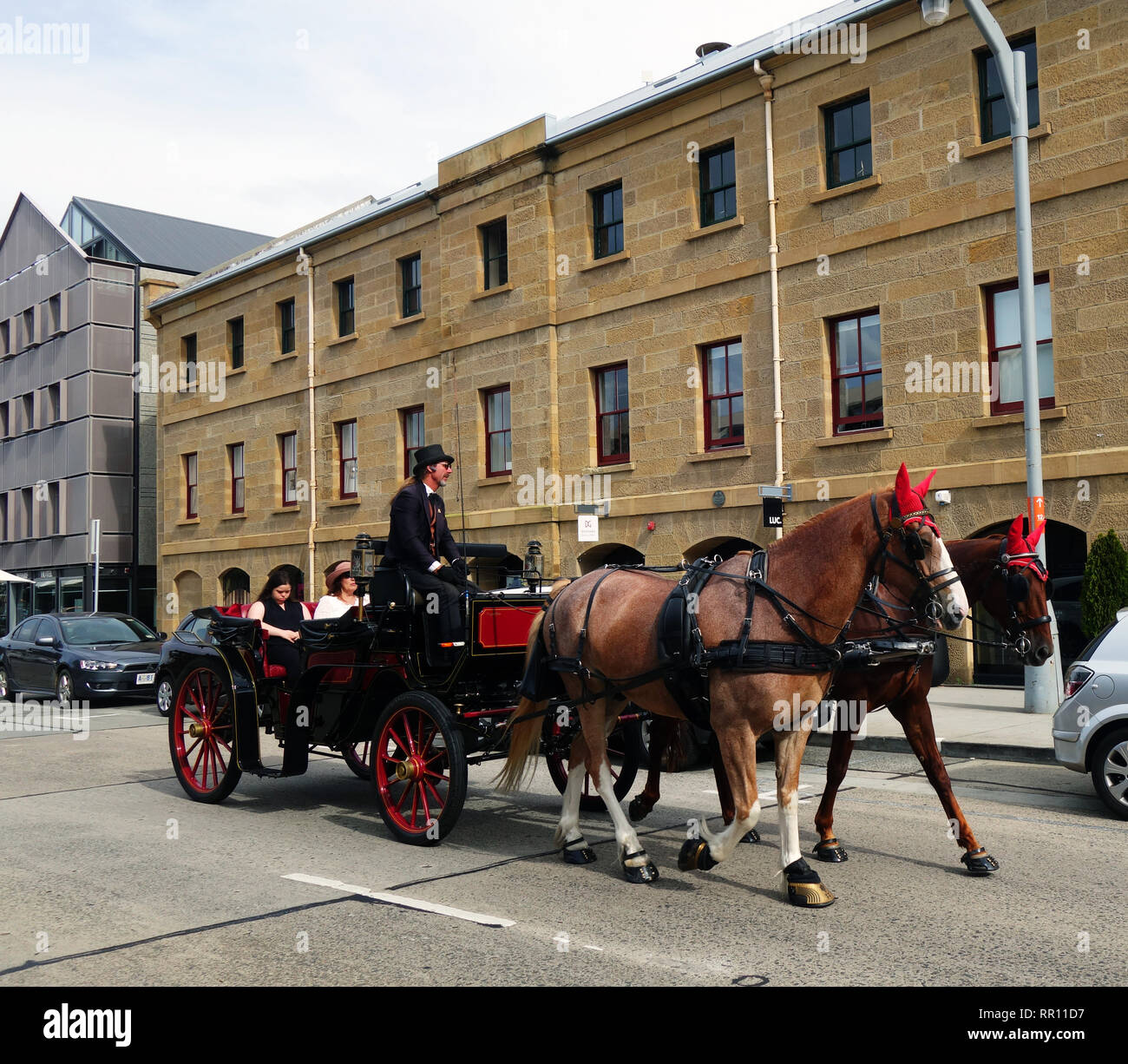 Horses pulling tourists in carriage along Castray Esplanade, Hobart, Tasmania, Australia. No PR or MR Stock Photo