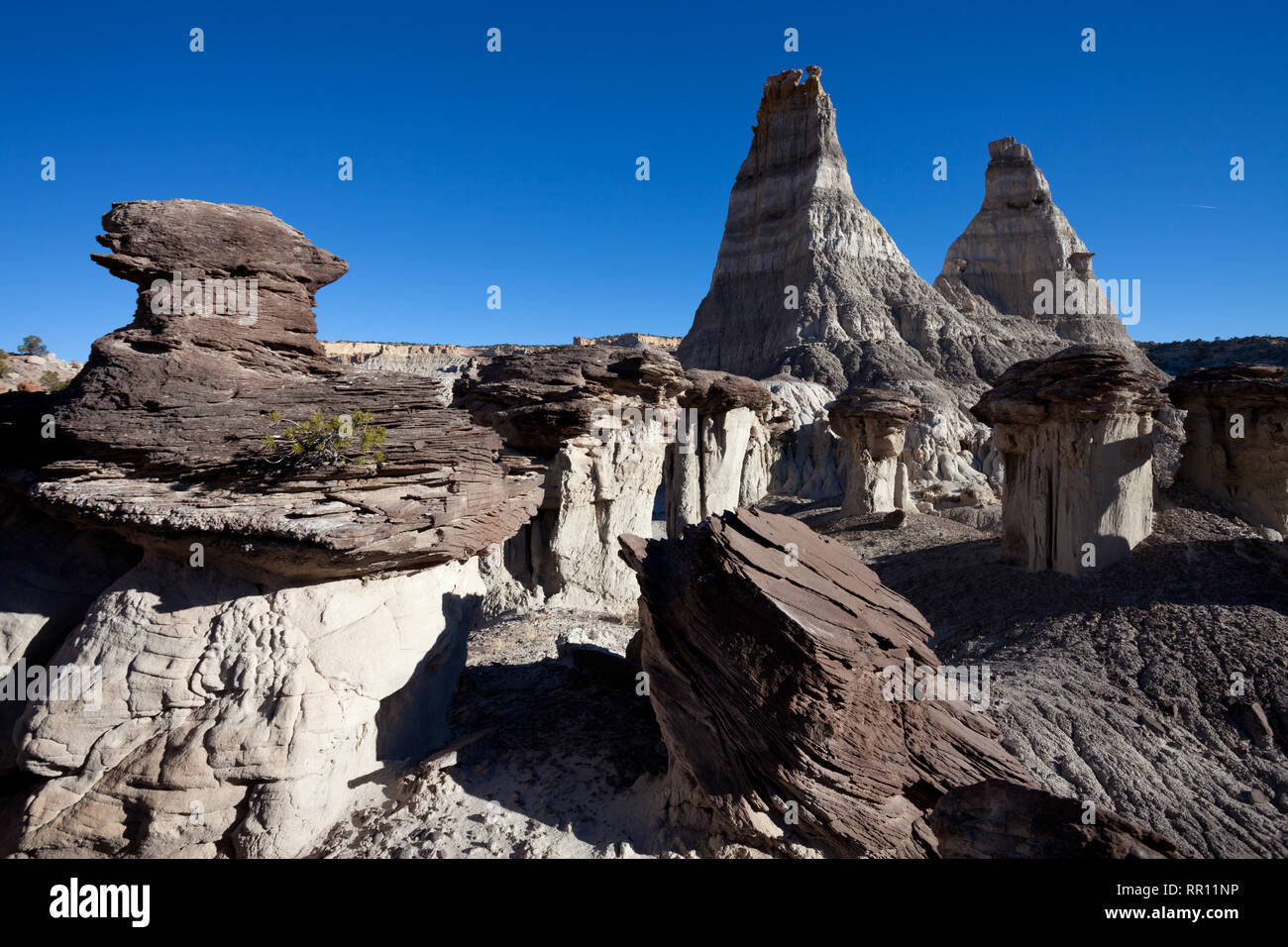 Rock formations in the Lybrook Badlands, part of the San Juan Basin of