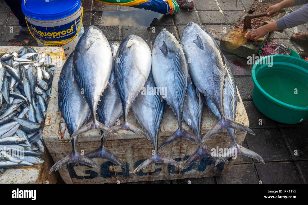 Fresh fish at Kedonganan Fish Market, Jimbaran Bay Bali Indonesia. Stock Photo