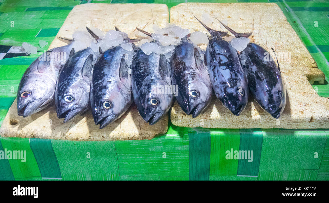 Fresh fish at Kedonganan Fish Market, Jimbaran Bay Bali Indonesia Stock