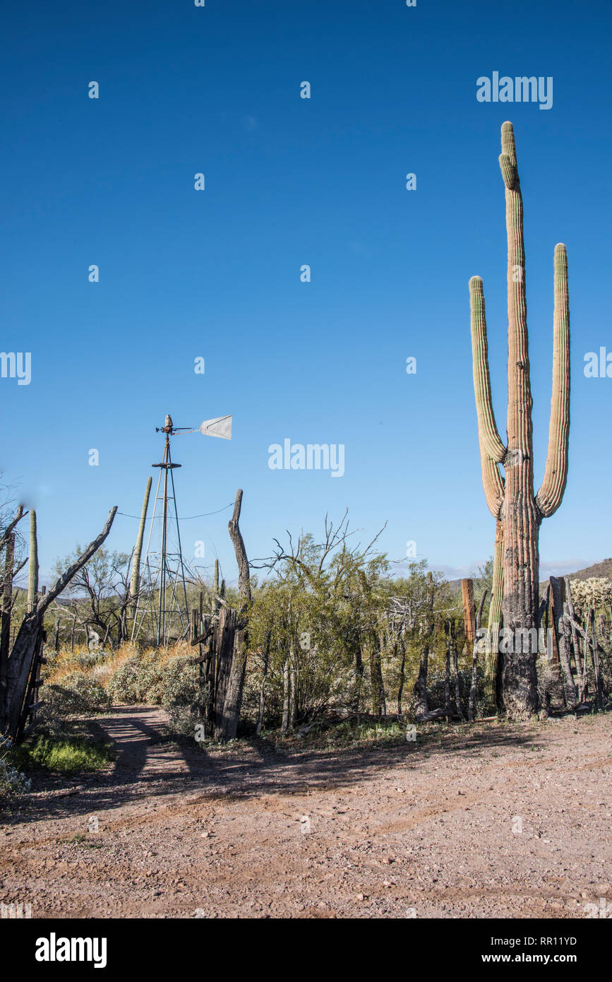 Historic Bonita Well Organ Pipe Cactus National Monument On The Puerto Blanco Loop Road South Central Arizona Stock Photo Alamy