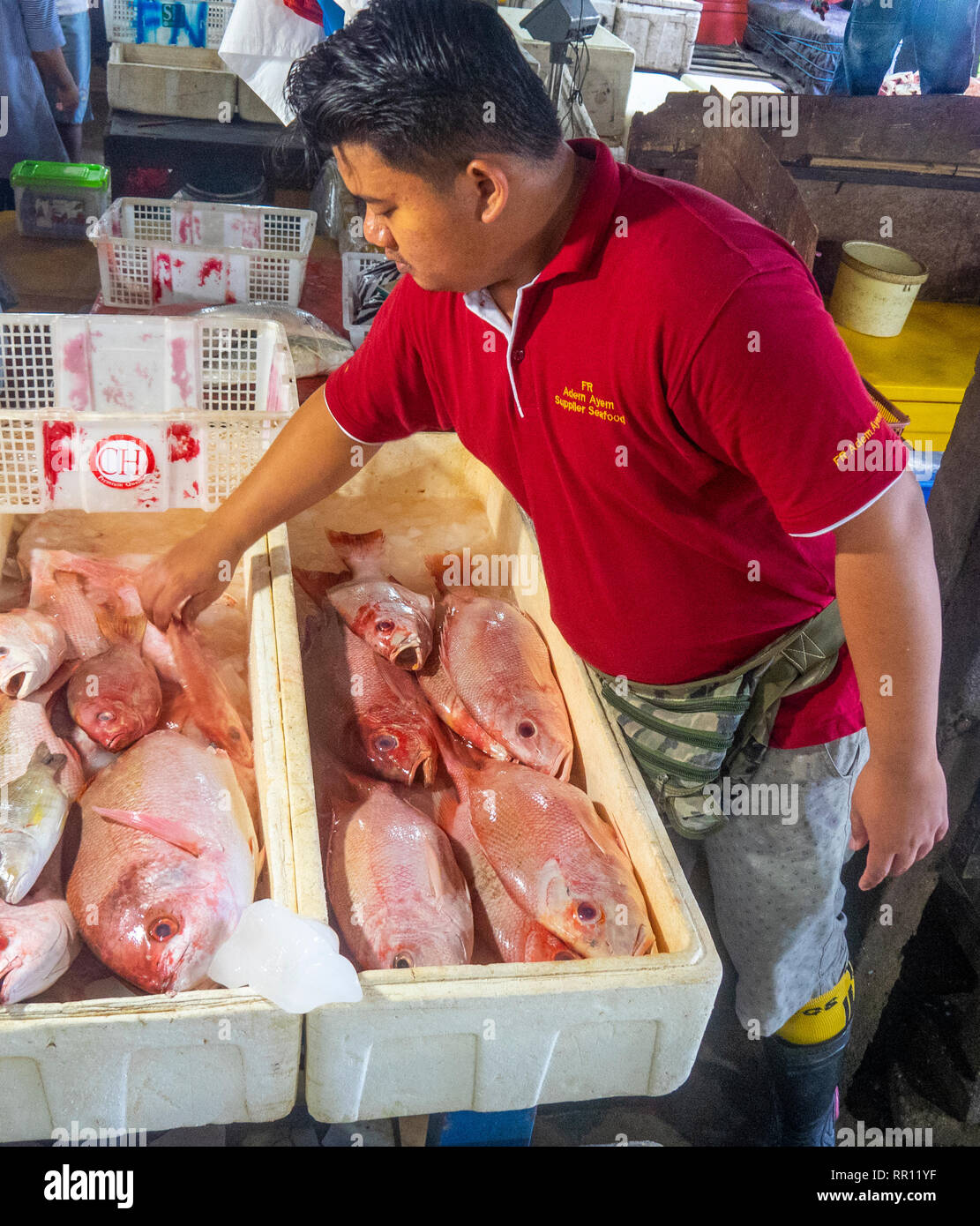 Male Fishmonger Selling Fresh Fish At Kedonganan Fish Market Jimbaran Bay Bali Indonesia Stock Photo Alamy