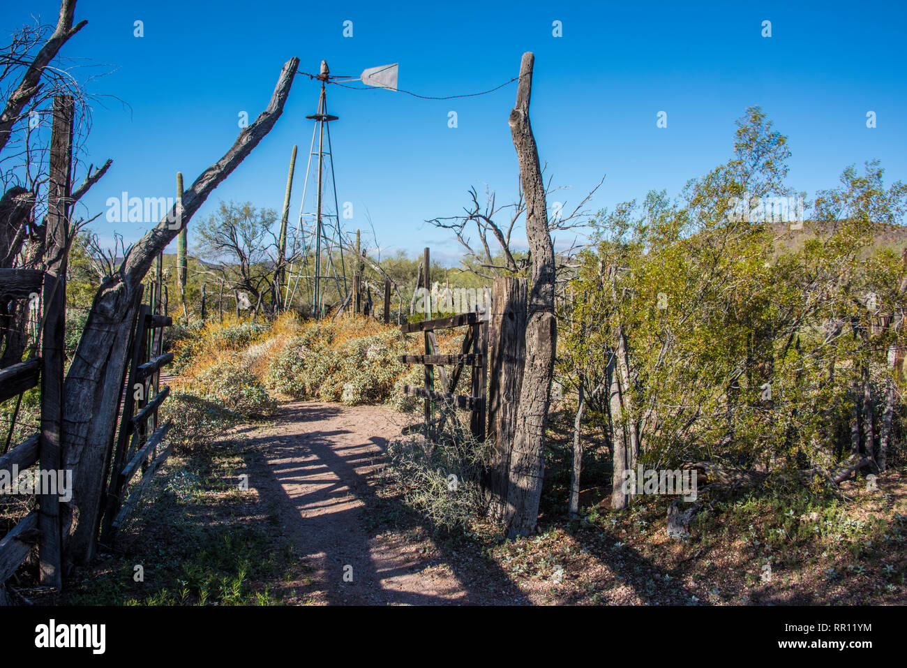 Historic Bonita Well Organ Pipe Cactus National Monument On The Puerto Blanco Loop Road South Central Arizona Stock Photo Alamy