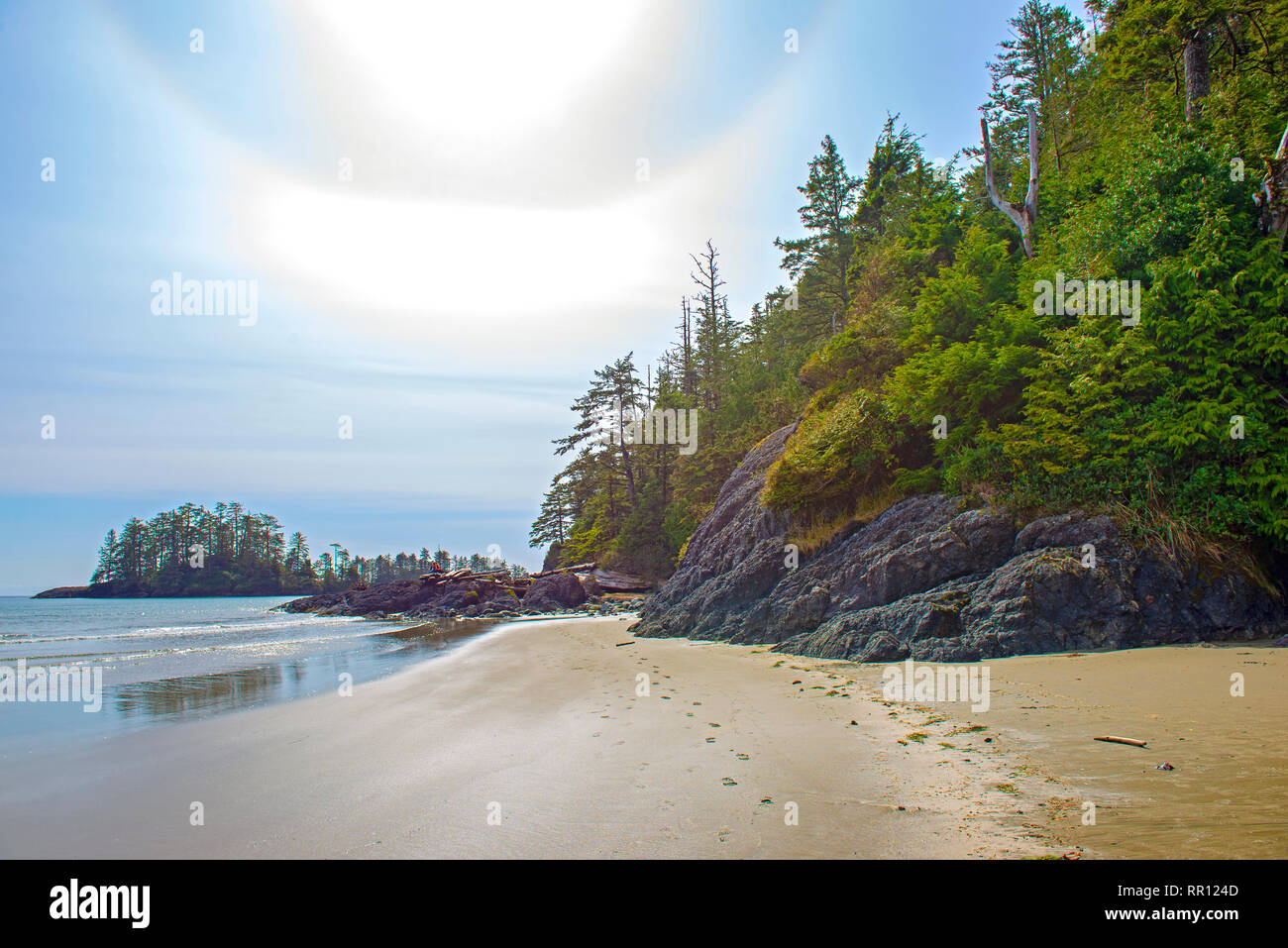 Small island with pine trees in Long Beach, Tofino, a popular destination in Vancouver Island, Canada Stock Photo