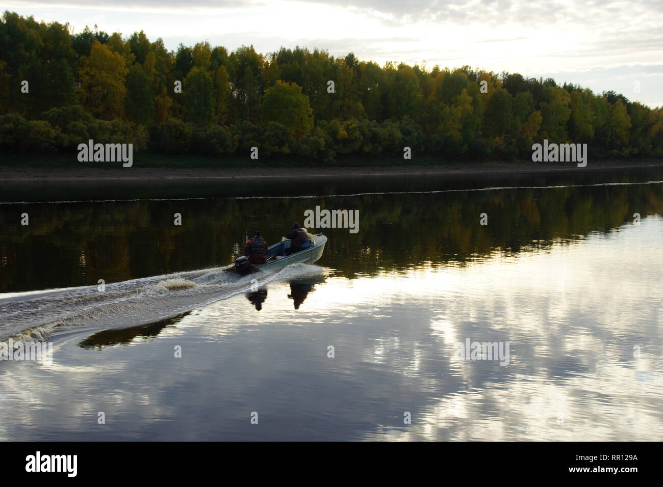 morning-duck-hunting-stock-photo-alamy