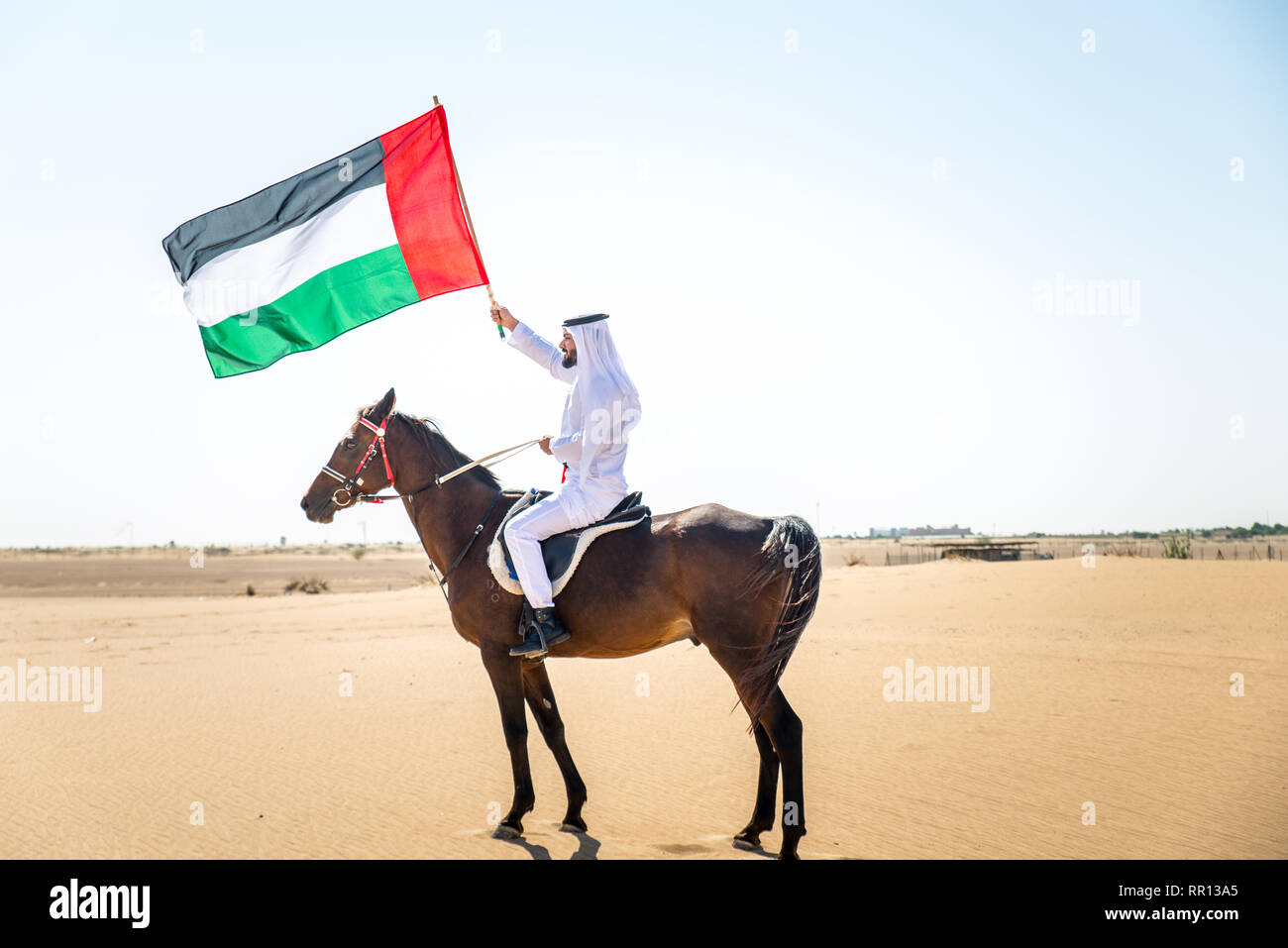 Middle eastern handsome man with typical emirates dress riding a arabic horse in the Dubai