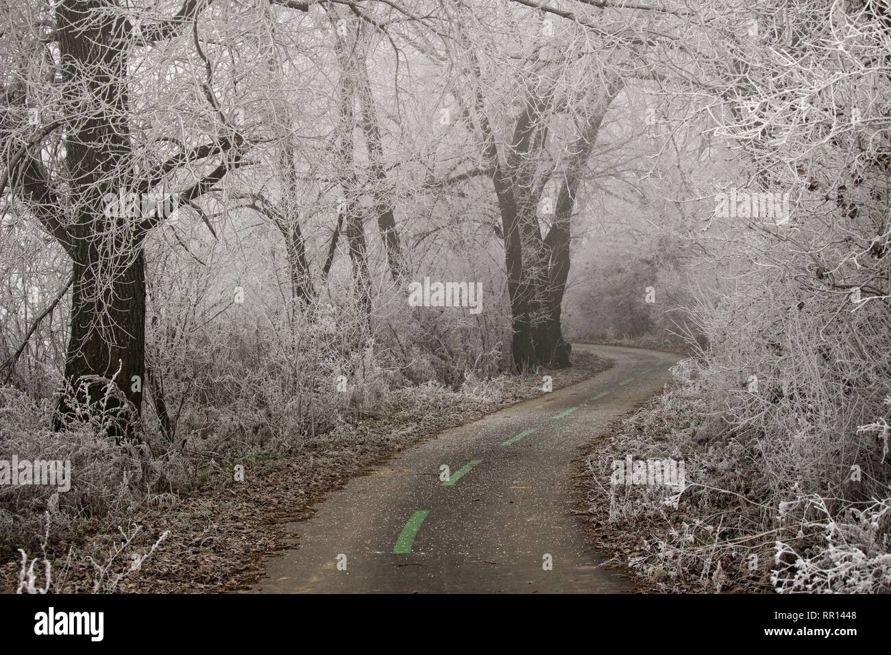 Frozen bike road in winter Stock Photo Alamy