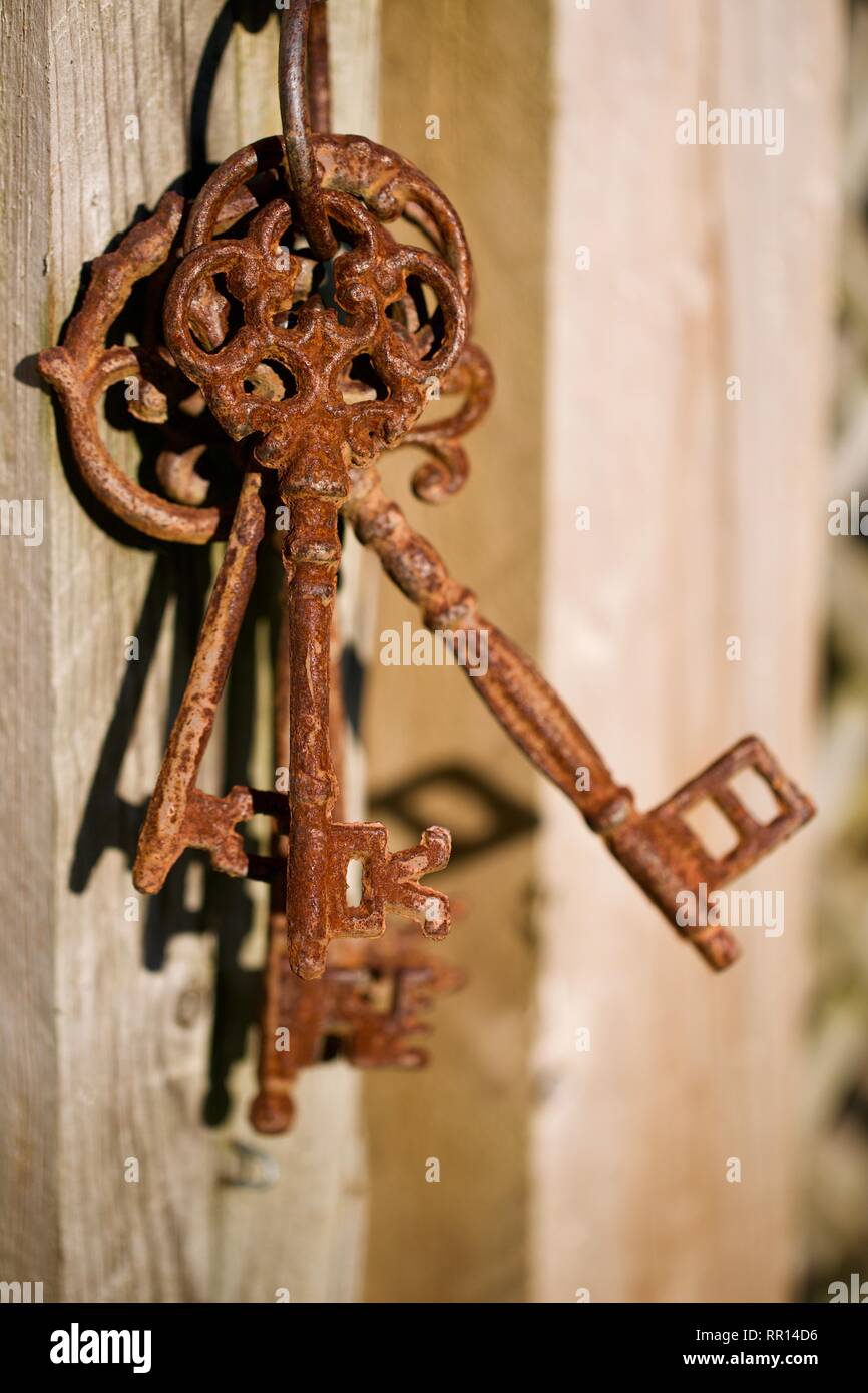Bunch of old rusty keys Stock Photo Alamy