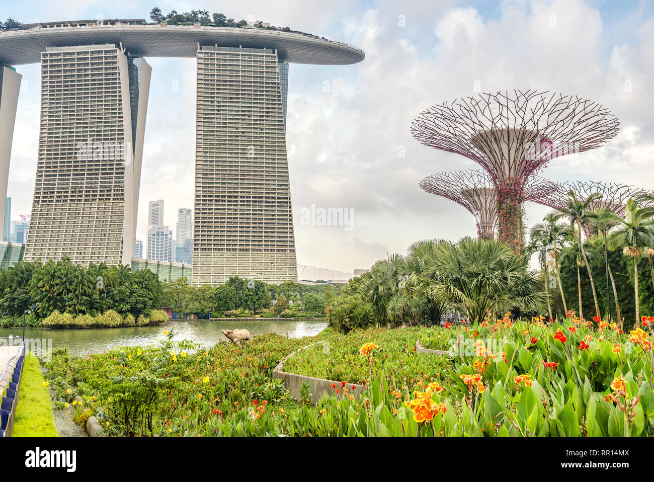 Flowers at Gardens by the Bay with the Marina Bay Sands Hotel in the background, Singapore Stock Photo