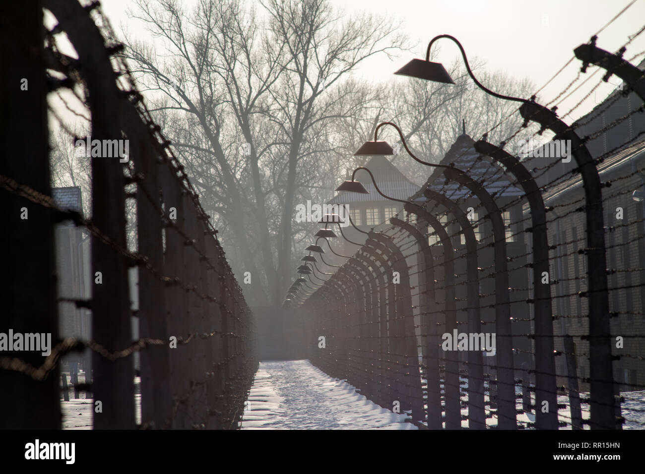 Museum Auschwitz - Holocaust Memorial Museum. Anniversary Concentration Camp Liberation Barbed wire around a concentration camp. Shed guard in the bac Stock Photo