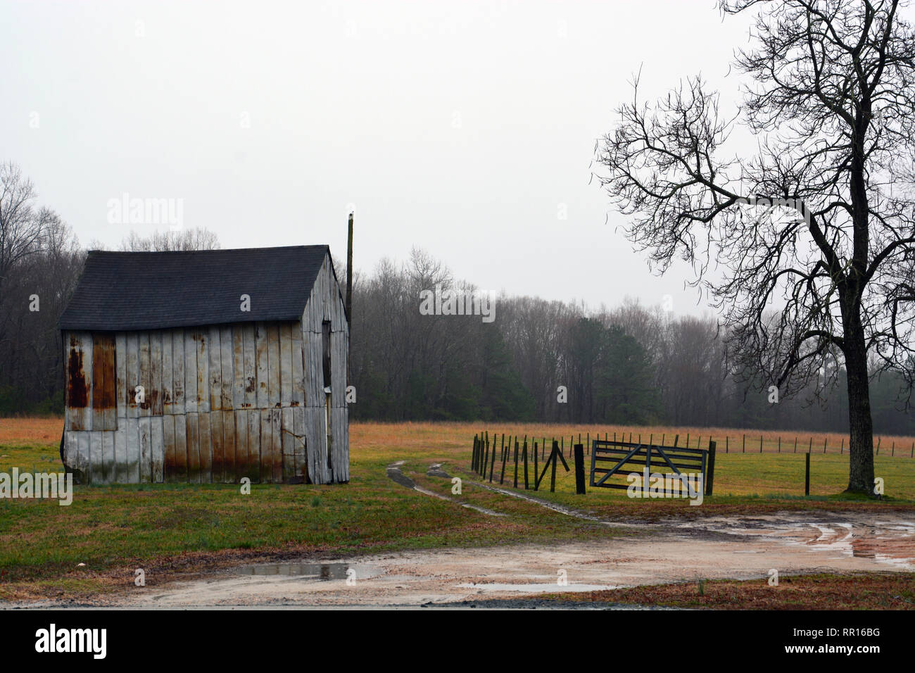 A barn on a rainy day in Wake Forest North Carolina. Stock Photo