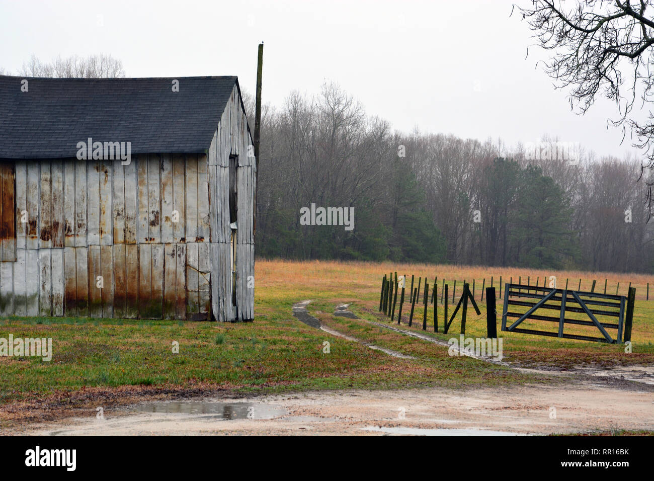 A barn on a rainy day in Wake Forest North Carolina. Stock Photo