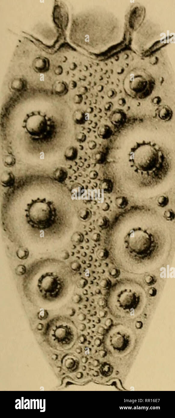 Folge 5 High Resolution Stock Photography And Images Alamy