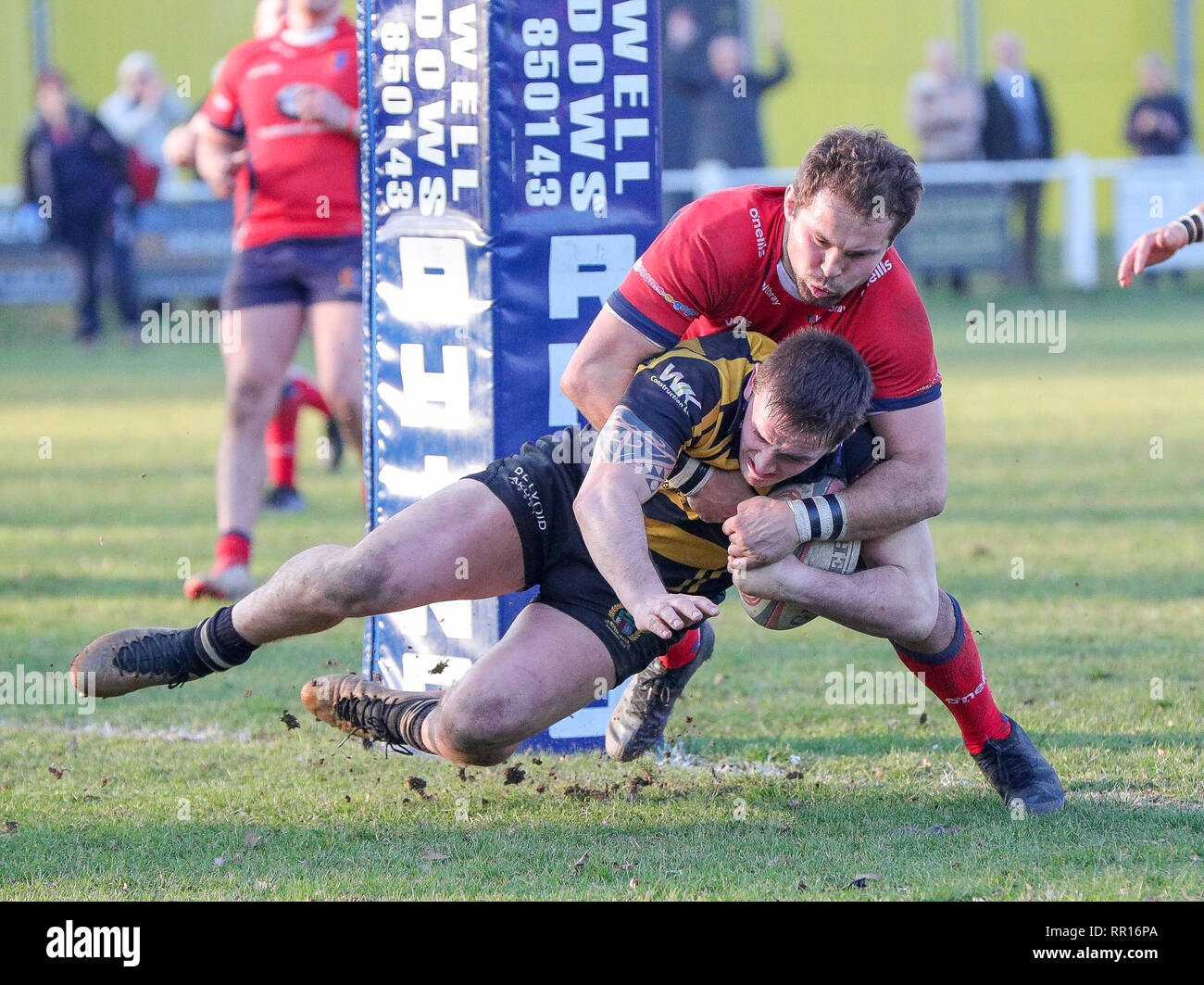 23.02.2019 Hinckley, Leicester, England. Rugby Union, Hinckley rfc v Chester rfc.  Callum Dacey scores the 3rd of his four trys for Hinckley in the 50 Stock Photo