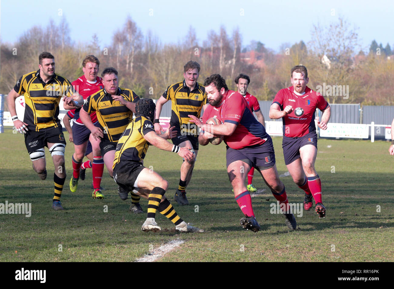 23.02.2019 Hinckley, Leicester, England. Rugby Union, Hinckley rfc v Chester rfc. Oliver Hughes on the charge Chester  during the RFU National League  Stock Photo