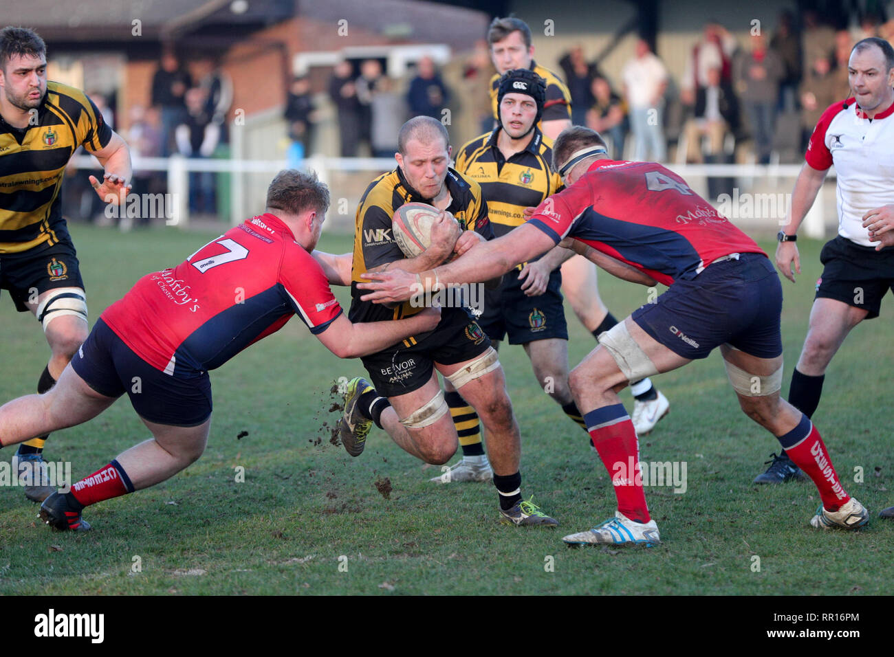 23.02.2019 Hinckley, Leicester, England. Rugby Union, Hinckley rfc v Chester rfc.   Henry Povoas on the charge for Hinckley during the RFU National Le Stock Photo