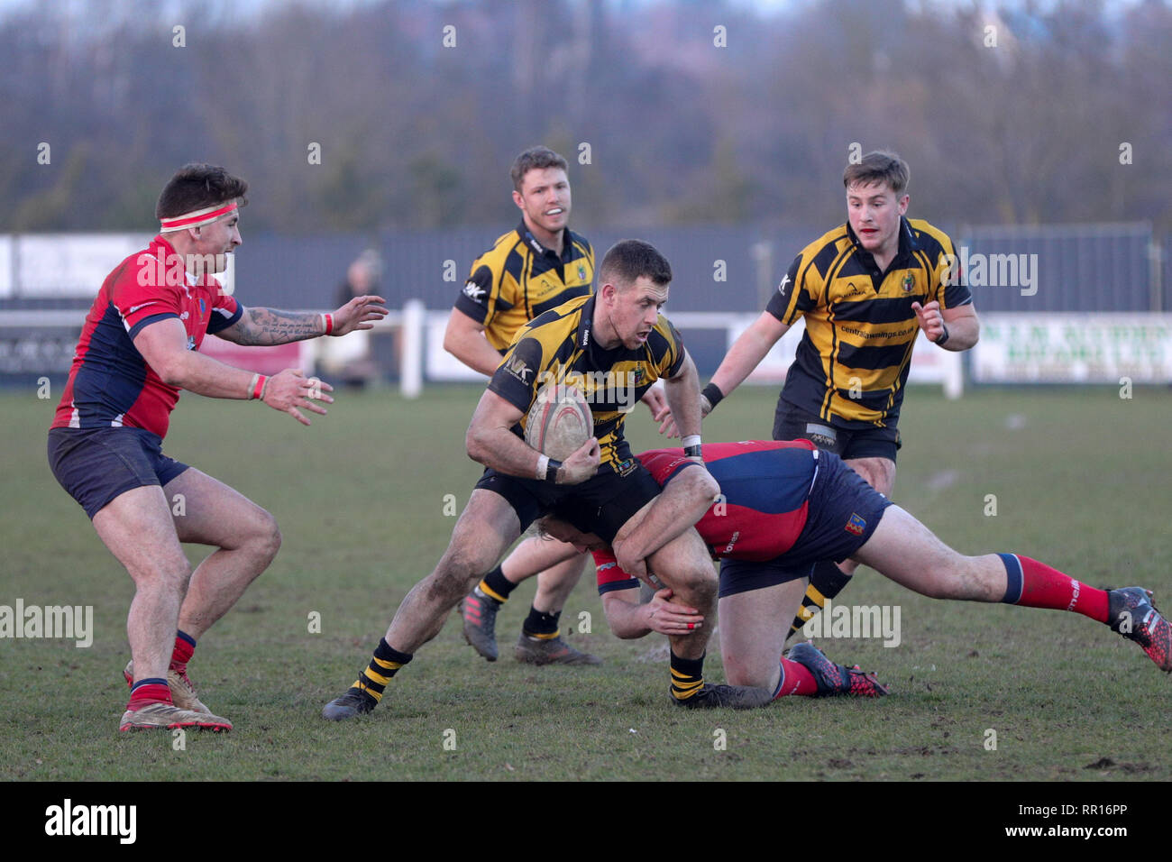 23.02.2019 Hinckley, Leicester, England. Rugby Union, Hinckley rfc v Chester rfc.  Mitch Lamb on the charge for Hinckley  during the RFU National Leag Stock Photo