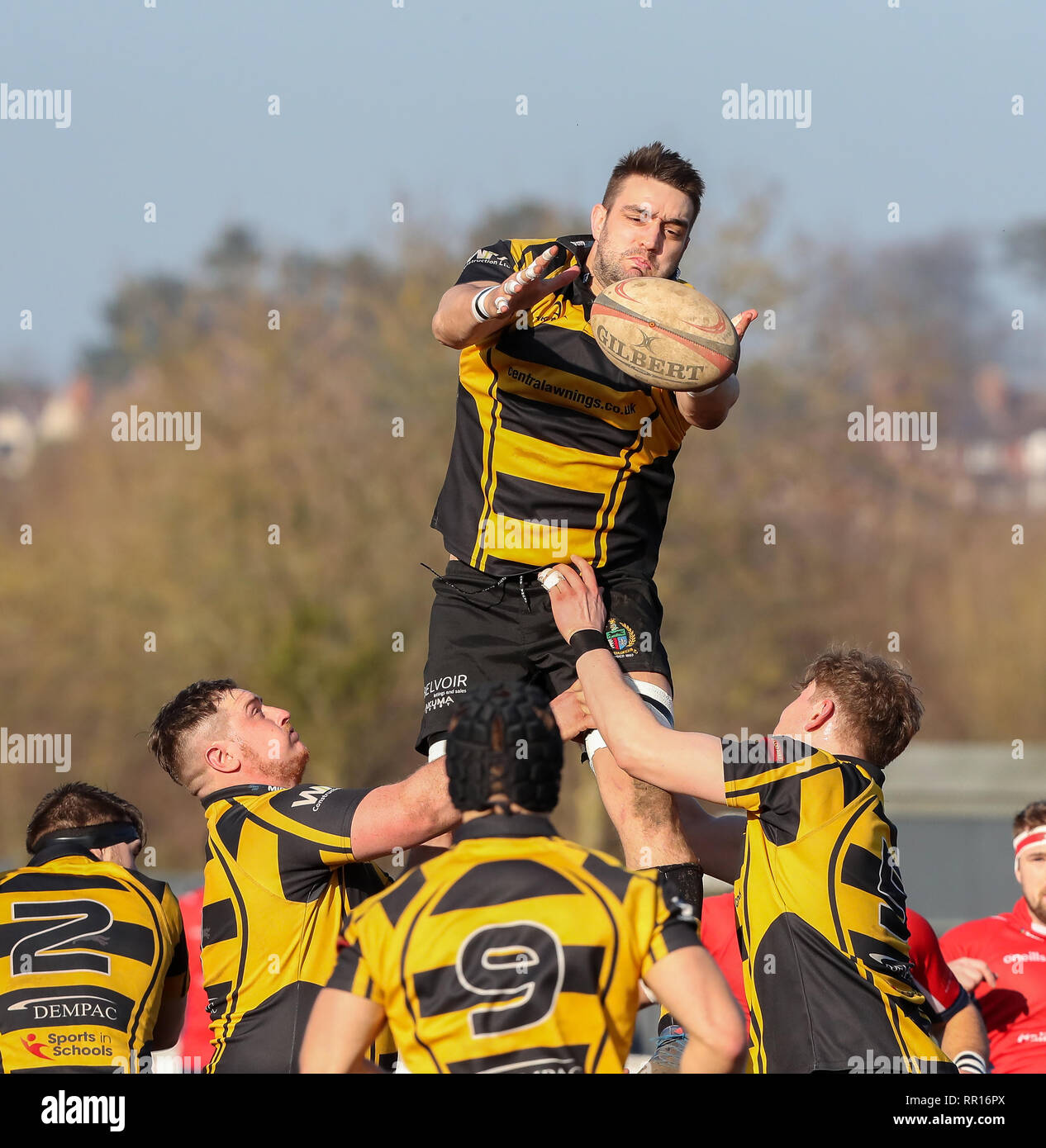 23.02.2019 Hinckley, Leicester, England. Rugby Union, Hinckley rfc v Chester rfc.   Ben Marshall takes the line out for Hinckley during the RFU Nation Stock Photo