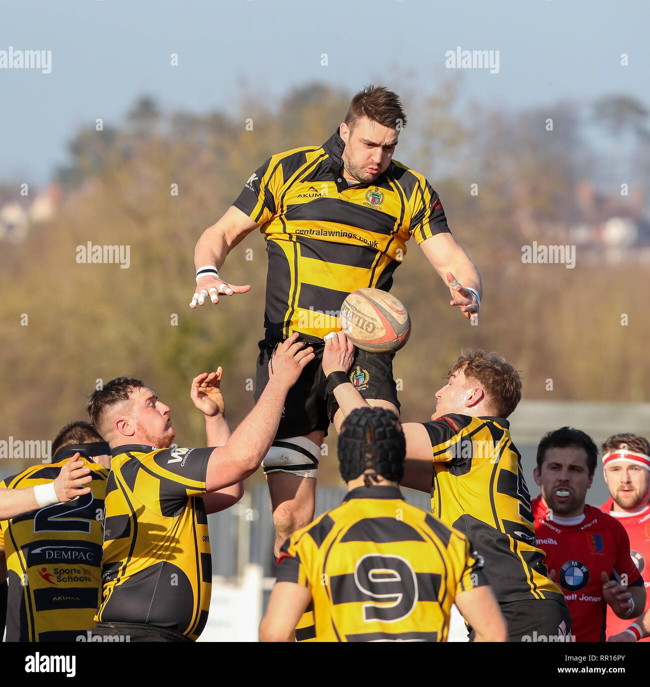 23.02.2019 Hinckley, Leicester, England. Rugby Union, Hinckley rfc v Chester rfc.   Ben Marshall takes the line out for Hinckley during the RFU Nation Stock Photo
