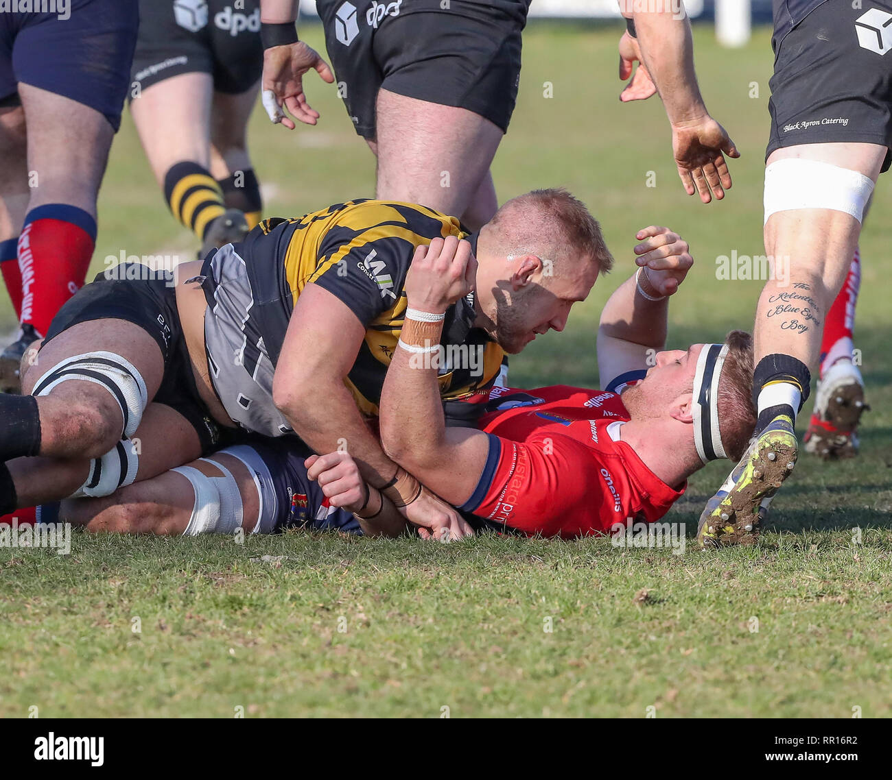 23.02.2019 Hinckley, Leicester, England. Rugby Union, Hinckley rfc v Chester rfc.  Alex Salt of Hinckley gets up close with Rik Cottrell (Chester) dur Stock Photo