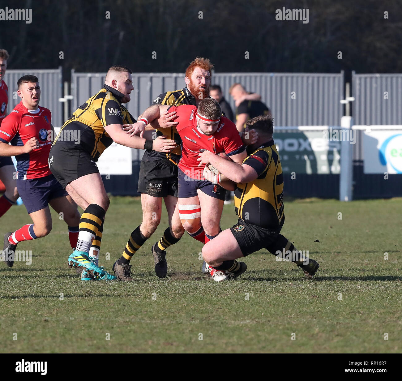 123.02.2019 Hinckley, Leicester, England. Rugby Union, Hinckley rfc v Chester rfc.   Josh Woods on the charge Chester during the RFU National League 2 Stock Photo