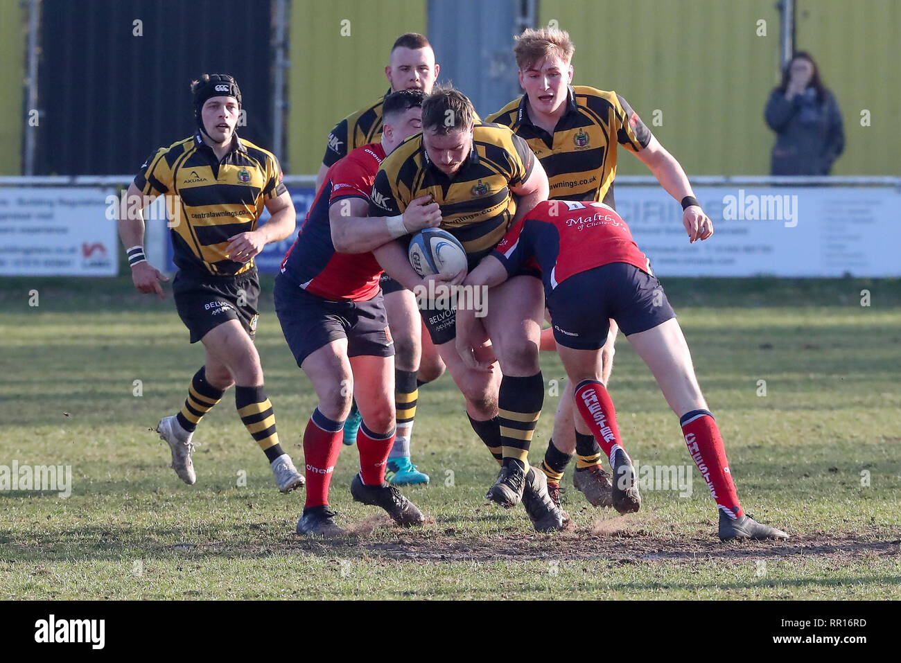 23.02.2019 Hinckley, Leicester, England. Rugby Union, Hinckley rfc v Chester rfc.  Craig Bresland on the charge for Hinckley during the RFU National L Stock Photo