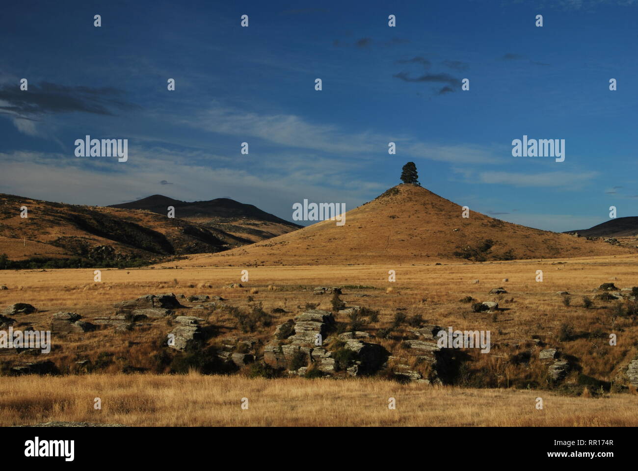 One tree hill with with yellow grass and other hills around during a summer day near Otago Central Rail Trail in Middlemarch,South Island,New Zealand. Stock Photo