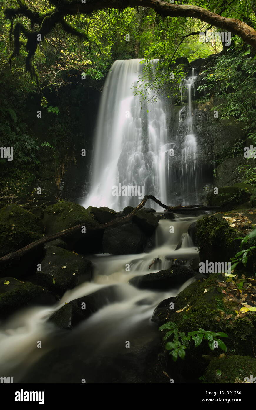 Long exposure of Matai Falls in forest of the Catlins Park. South Island, New Zealand. Stock Photo