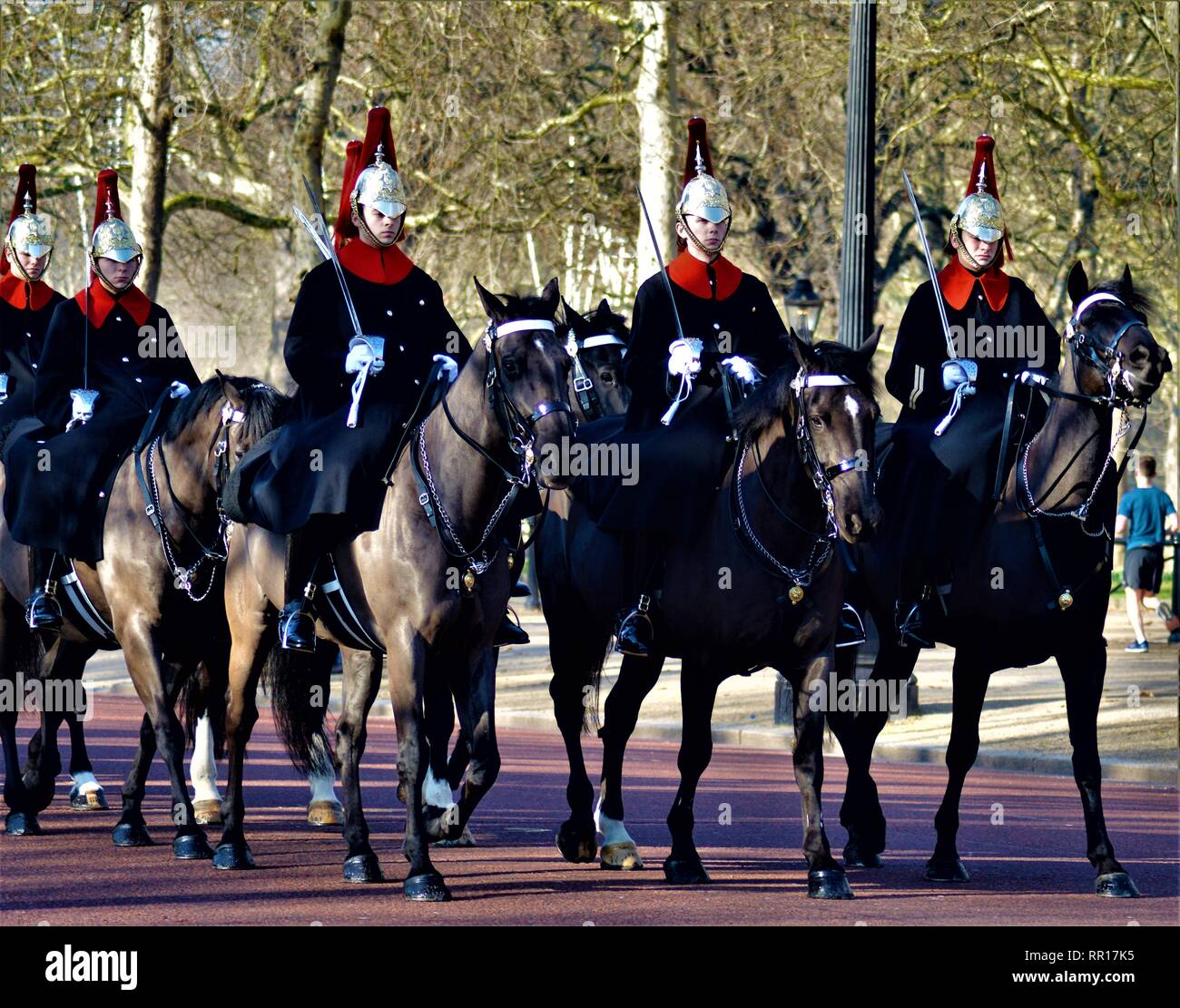 Blues and Royals Stock Photo