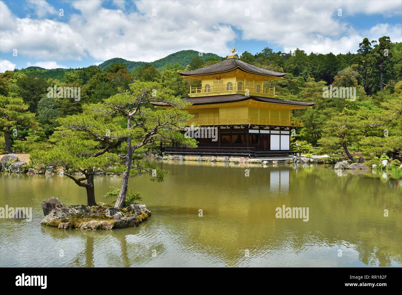 Golden tree temple hi-res stock photography and images - Alamy