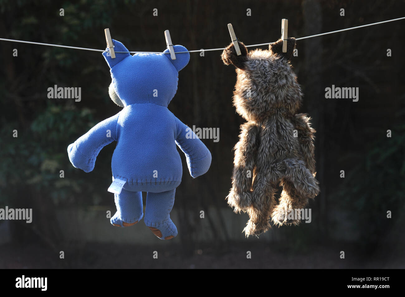 CHILDRENS SOFT TOYS DRYING ON HOME WASHING LINE RE CLEANING HANGING OUT ETC UK Stock Photo