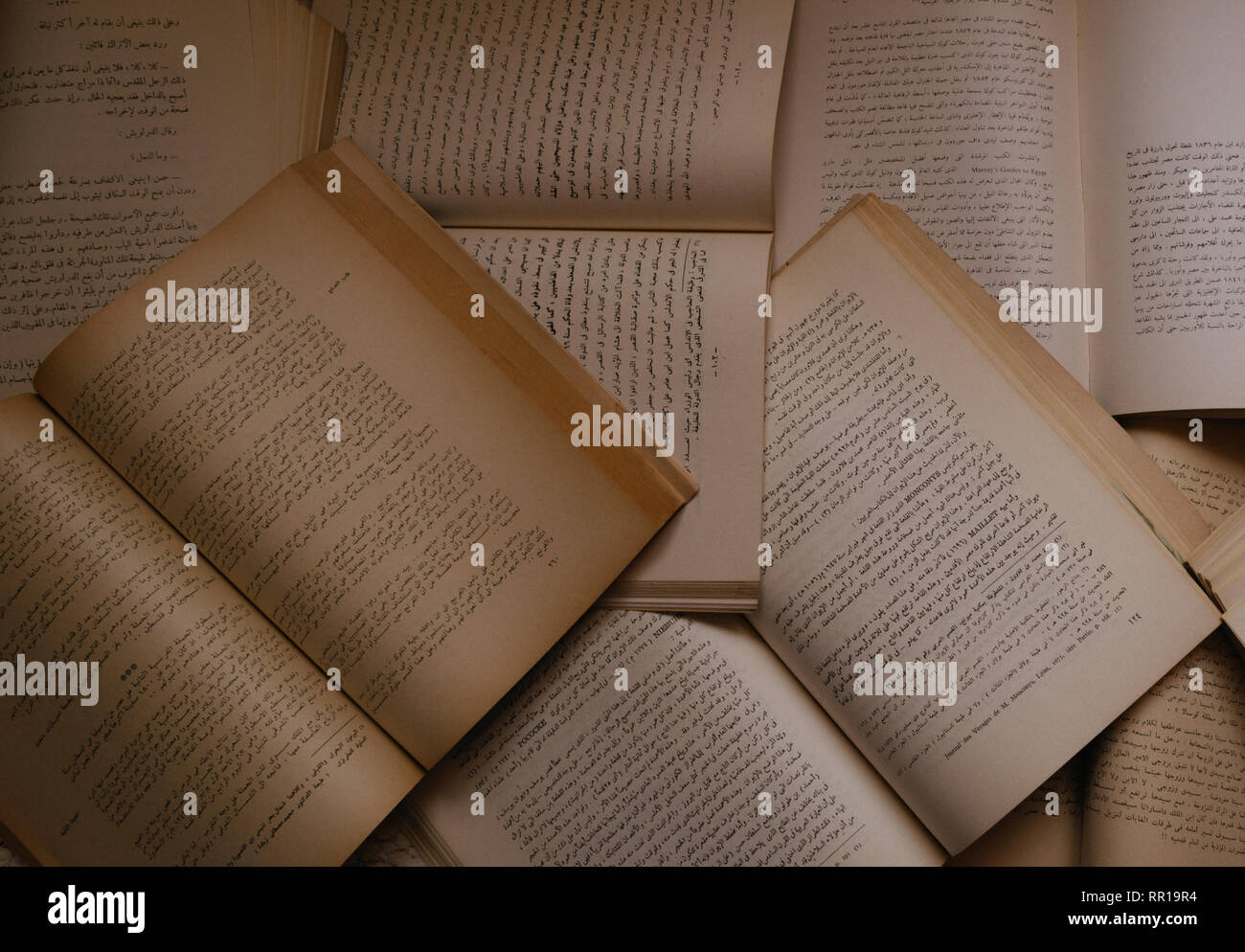 Old open books with text Stock Photo