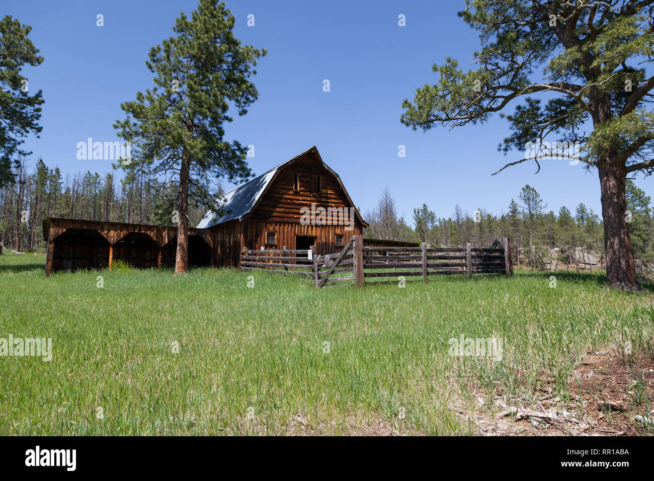 An old wooden barn with a fenced in corral and tall green grass on an ...
