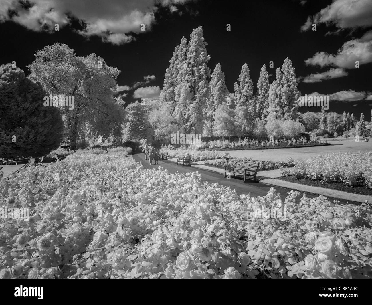 The regents park london Black and White Stock Photos & Images - Alamy